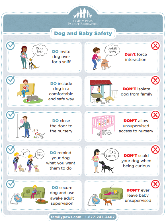 Dogs and babies